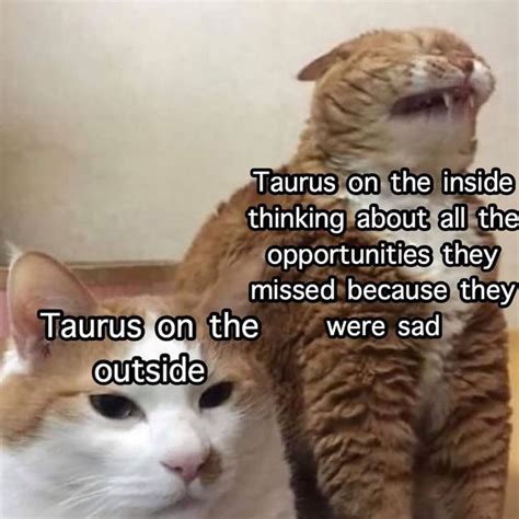 Taurus Memes♉️ On Instagram So True Follow Taurusimply For