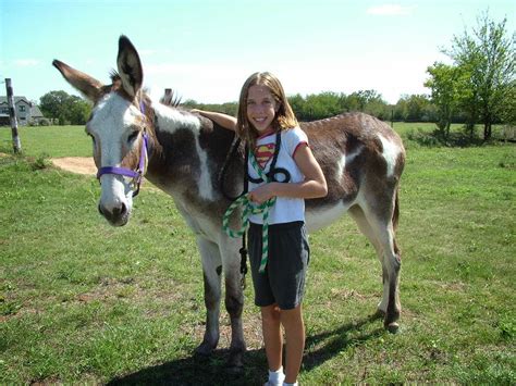 Newest oldest price ascending price descending relevance. Patamata Praneel: swamp-donkey and girl