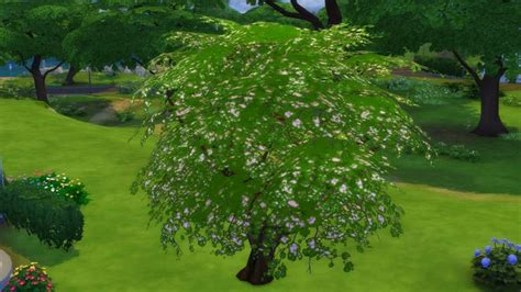 Upright Cherry Tree Sims 4 Plants Sims Sims 4