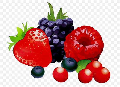 Berries Clip Art Fruit Food PNG 768x592px Berries Accessory Fruit