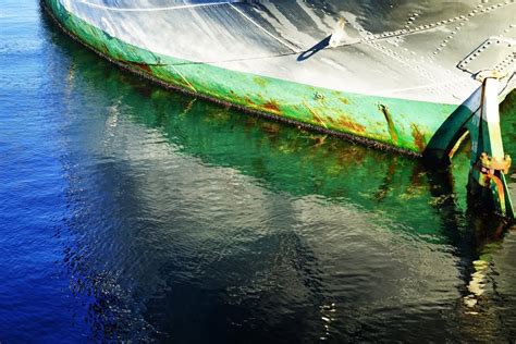 Limit my search to r/halifax. The Waterfront - Halifax - Nova Scotia - One Journey