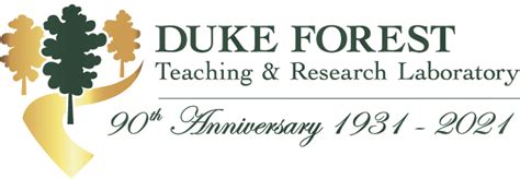 About Duke Forest