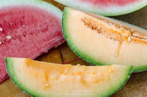 Is Picking Out A Ripe Watermelon Cantaloupe Or Honeydew A Hard Job