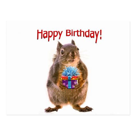 Happy Birthday Squirrel With Present Postcard In 2021
