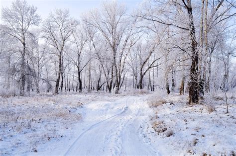 Schnee Frost Landschaft · Kostenloses Foto Auf Pixabay