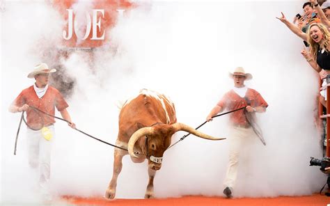 A Brief History Of Bevo Behaving Badly Texas Monthly