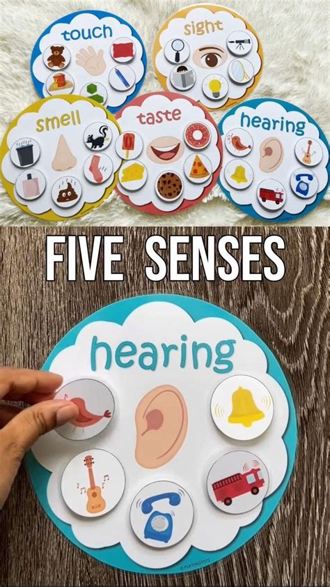 Five Senses Sorting Activity Printable 5 Senses Sorting Homeschool