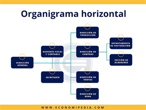 Organigrama Horizontal Definicion Ejemplos Y Ventajas Images Hot Sex Picture