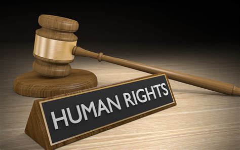 Launch Of Human Rights Resource Portal In Pakistan Zameen Blog