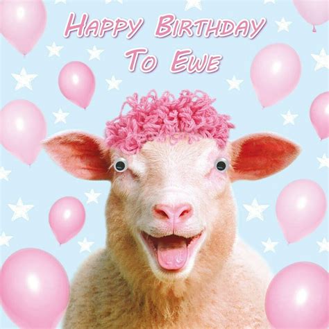 Funny Sheep Birthday Card Happy Birthday To Ewe Goggly