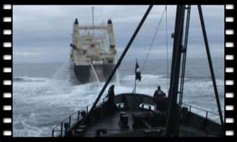 Video Sea Shepherd Activists Confront And Engage Nisshin Maru Whaling