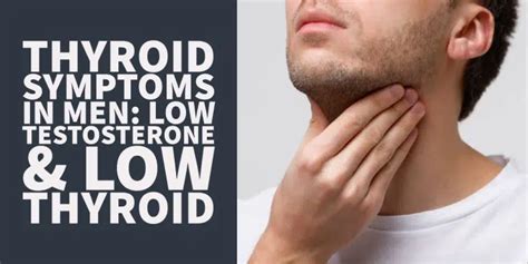 thyroid symptoms in men the low t low thyroid connection