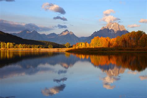 Fall Aspens In Sunlight At Oxbow Bend Grand Teton National Park