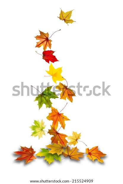 Maple Autumn Leaves Falling Ground Vector Stock Vector Royalty Free