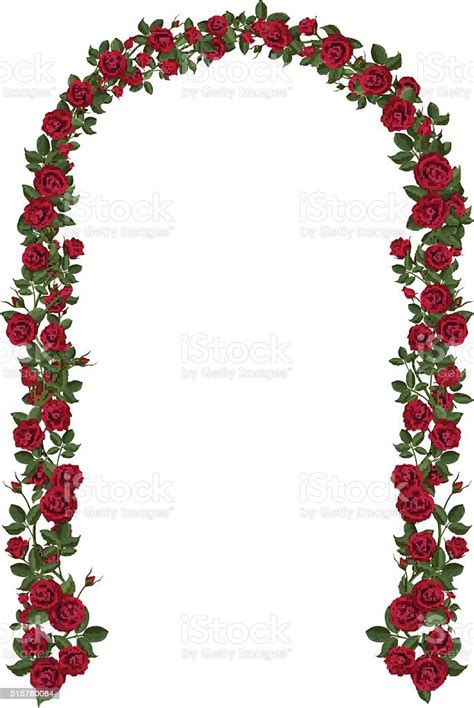 Download Arch Of Red Climbing Roses Stock Illustration - Download ...