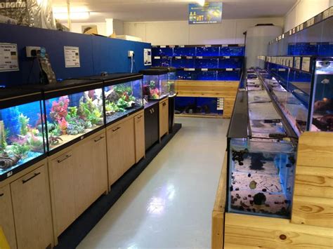 Croydon Maidenhead Aquatics Fish Store Review Tropical Fish Site