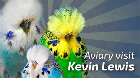 Kevin Lewis United Kingdom Aviary Visit 112016 🌍budgie Planet