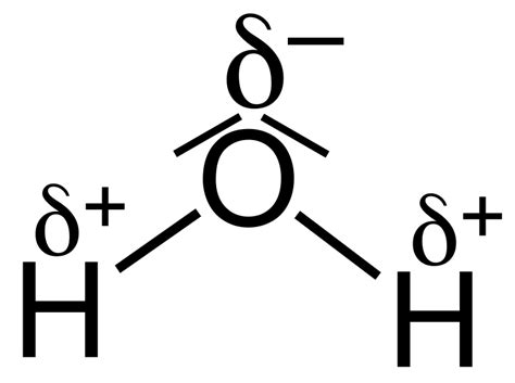 H2o+ builds on a legacy of innovation by combining the latest skin care technology to maximize the hydrating power of pure water. File:H2O Polarization V.2.svg - Wikimedia Commons