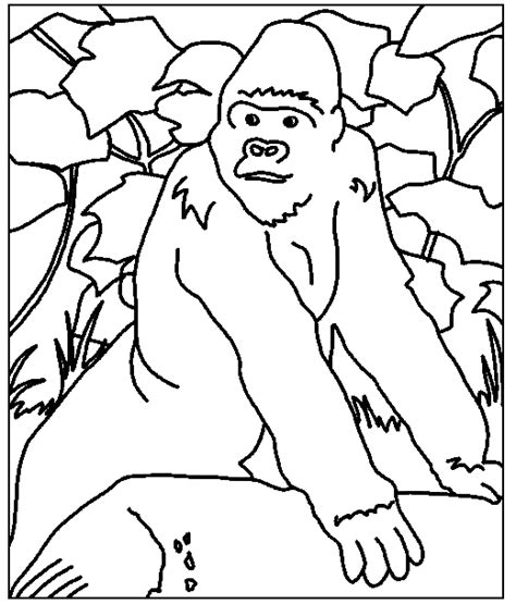 Dieren kleurplaten gorilla