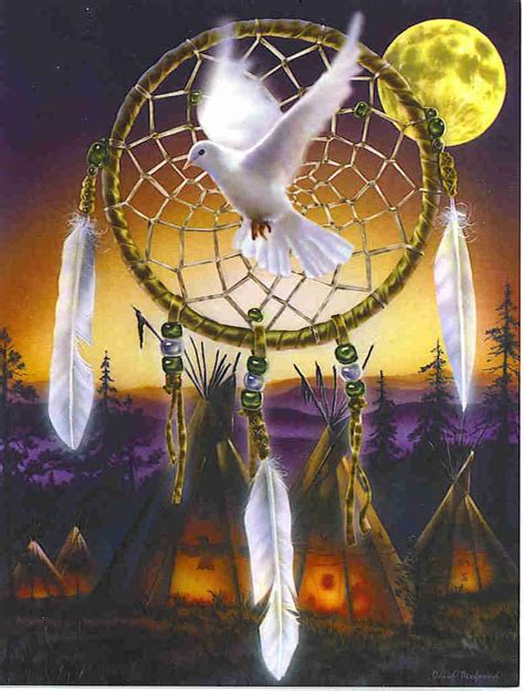 Dove Dreamcatcher Native American Artwork Native American Art Dream