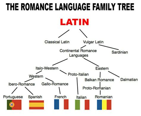 Super Fascinating How Latin Led To Language Trainers