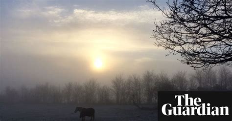 Your Photos Of The Uks Frosty And Foggy Morning Uk News The Guardian