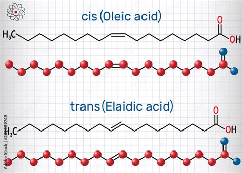 Vecteur Stock Oleic Acid Cis And Elaidic Acid Trans Omega 9 Fatty