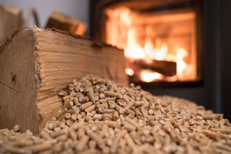 Leading Scientists Warn Wood Pellets Threat To Climate No Silver