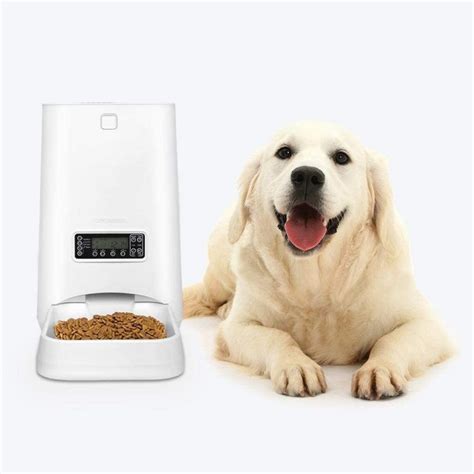 9 Practical Automatic Dog Feeders And Waterers For Large Breeds Hey