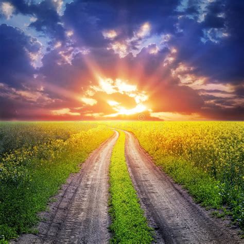 Country Road And Sunset Stock Image Image Of Nature
