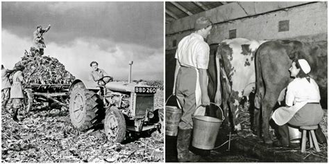 The Women Who Took Care Of Farming During Wwii Interesting Photos Show