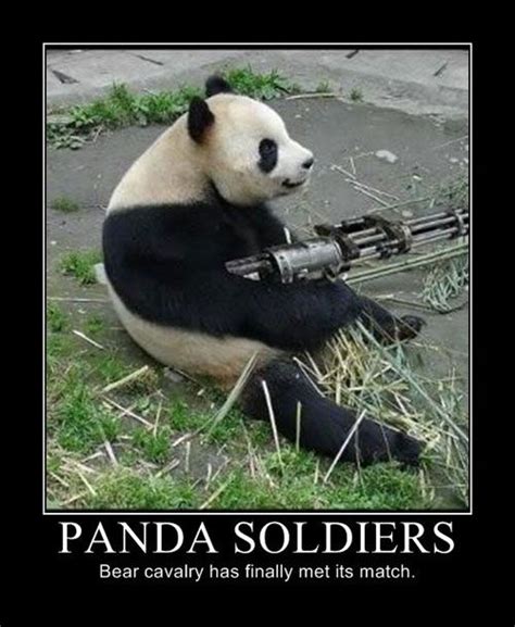 Military Motivational Posters Panda Meme Panda Funny Panda
