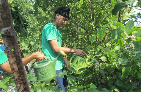 Instead of worrying about clearing up my fish tank water, i. BG watering plants on Beachway Aug 2013 « Burlington ...