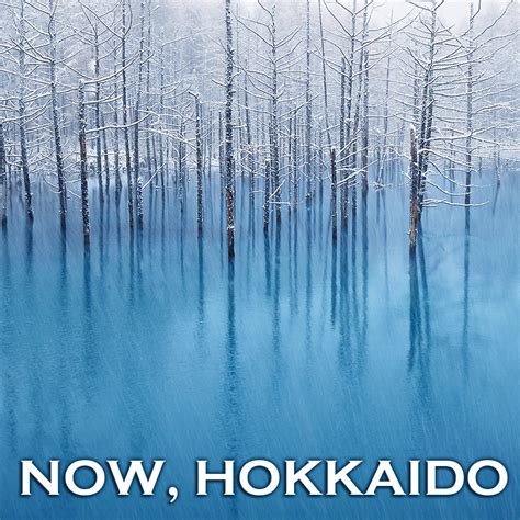 일본 북해도여행 가이드북 지금 홋카이도