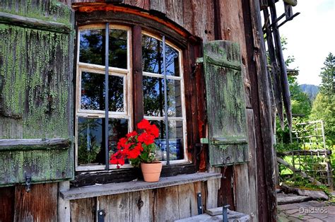 Beautiful Window By Daidalos Redbubble