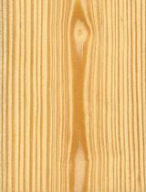 Pine Wood Images