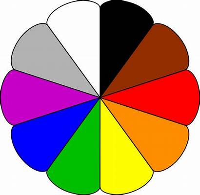 Wheel Clip Clipart Colors Flower Vector Cliparts