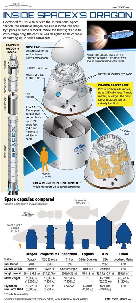 How Spacexs Dragon Space Capsule Works Infographic Space