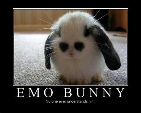 Emo Bunny Emo Pinterest Emo And Bunnies