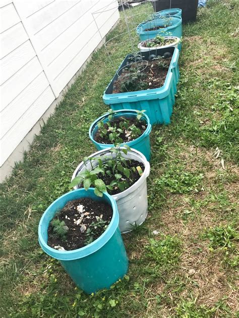 Easy Container Gardening With Children All My Good Things