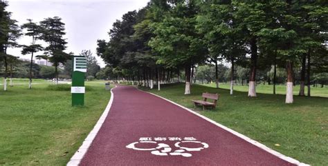 Chengdu 24km Greenway Bicycle Expressway Is Open For The Spring