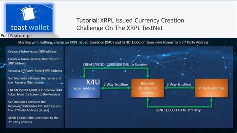 To describe me as excited when i learned that the three joined forces in. XRPL Issued Currency time challenge - YouTube