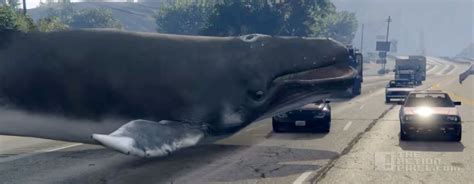 New Grand Theft Auto V Mod Has Whales Falling From The Sky The Action