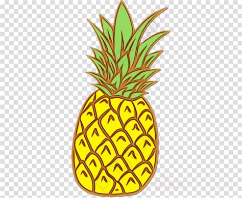 Pineapple clipart transparent, Pineapple transparent Transparent FREE for download on ...