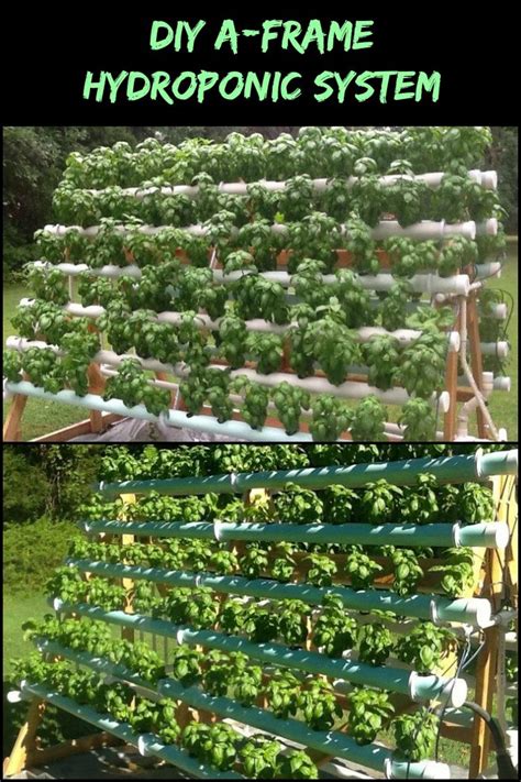 Some cacti grow over 10m and some of them don't get bigger then a golfball. Maximize space and grow more plants by building your own A ...