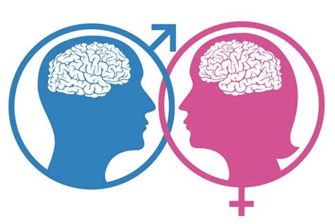 Female And Male Brains Process Emotion Differently Mybraintest