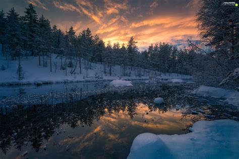 Ringerike Municipality Norway Winter Snow Trees