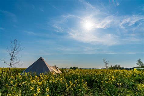 Camping And Glamping In Cambridgeshire Mad Hatters Campsite