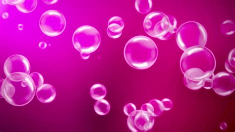 Pink Bubble Animation Background Video No Copyright Stock Footage