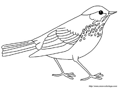 Bastelvorlagen weihnachten wunderschöne bastelvorlagen zum ausdrucken und kreativen basteln. Ausmalbilder vogel kostenlos - Malvorlagen zum ausdrucken ...